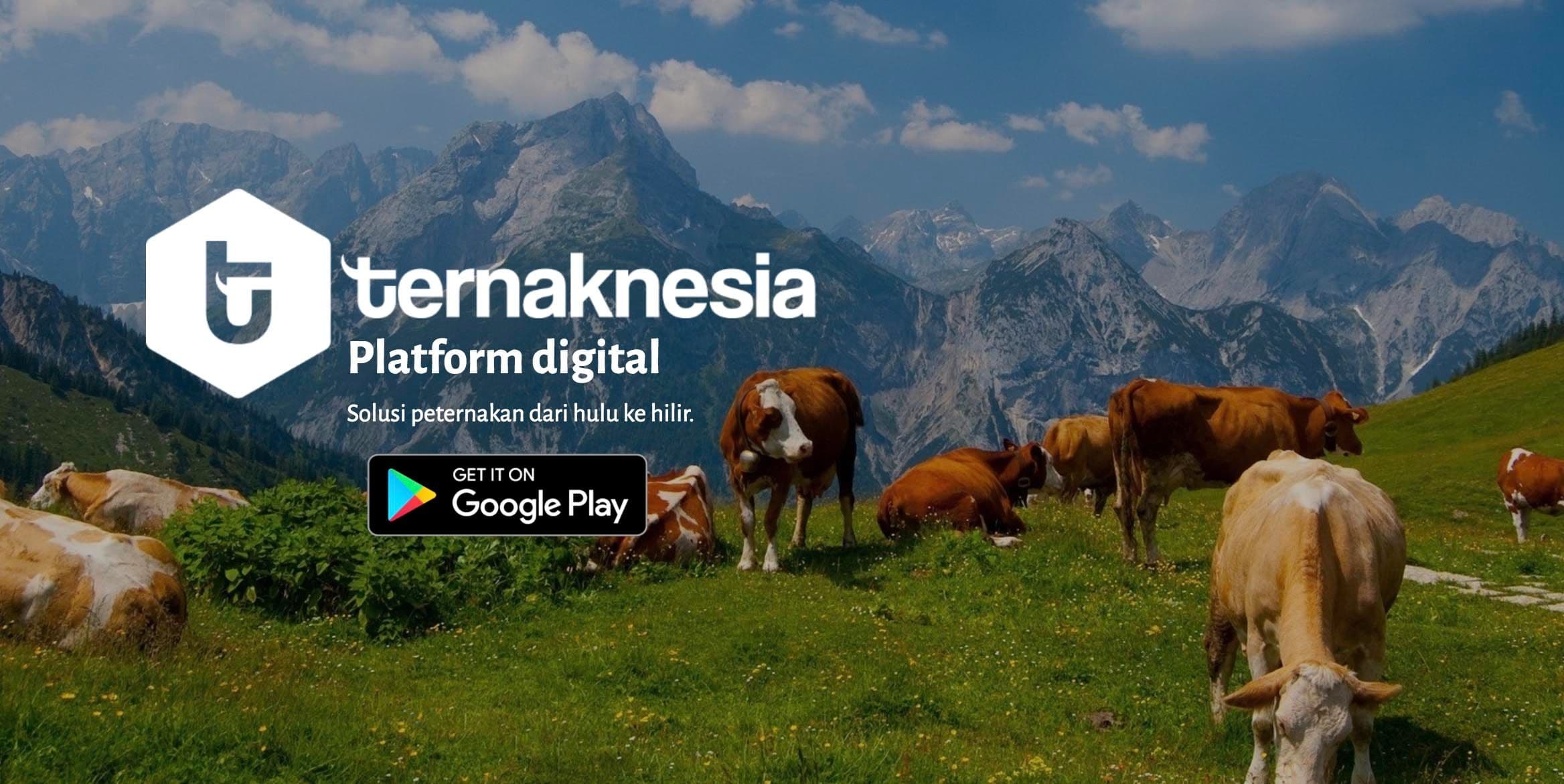 Ternaknesia Farm Innovation Screenshot